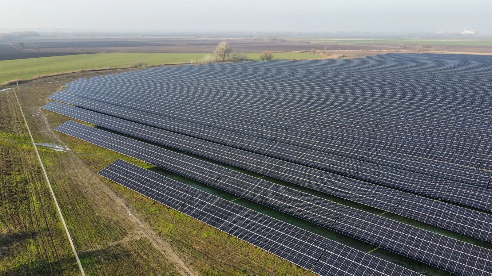 Vista aérea de uma central solar com longas filas de painéis numa planície agrícola