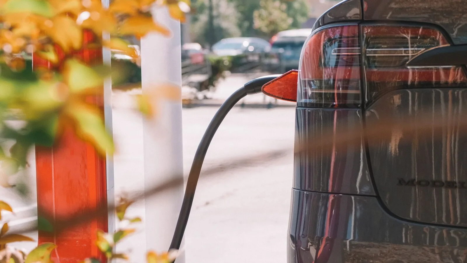 Cabo de carregamento ligado à traseira de um carro elétrico escuro, com folhas de outono em primeiro plano