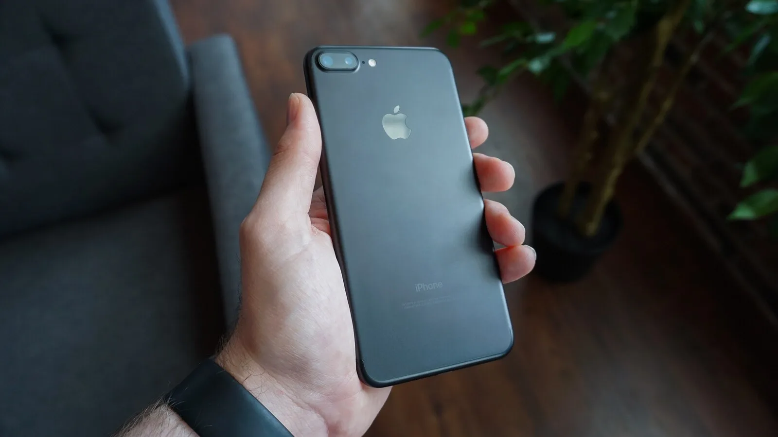 Mão de um homem com relógio no pulso a segurar um iPhone preto visto de costas, numa sala com sofá e plantas desfocados