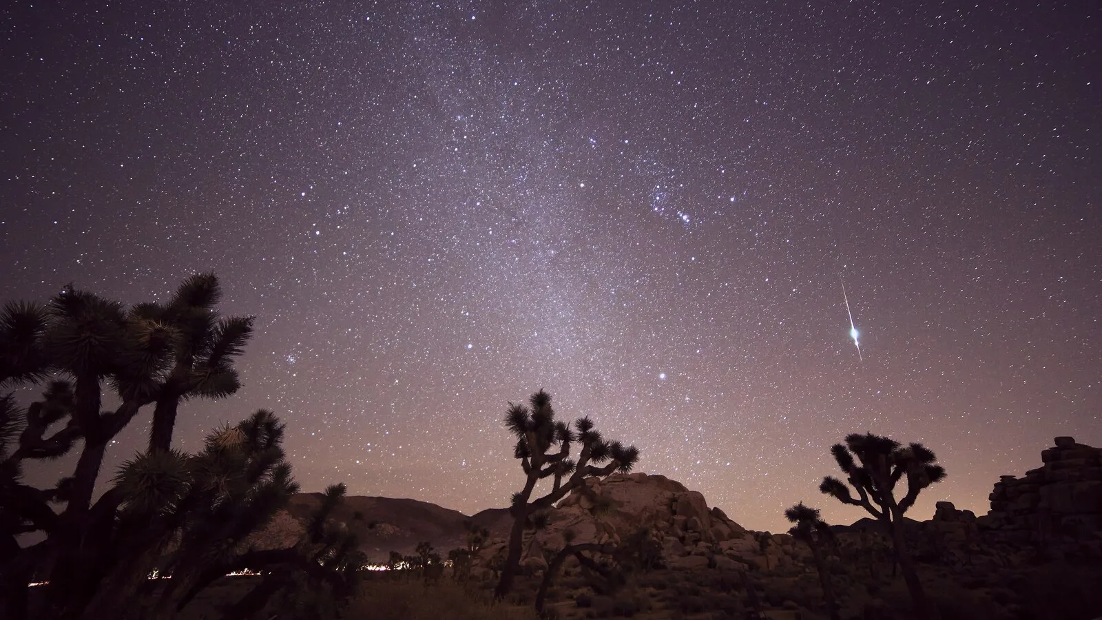 Céu estrelado sobre árvores de Josué e rochas no deserto, com um meteoro brilhante a riscar o céu à direita