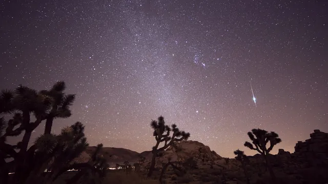 Céu estrelado sobre árvores de Josué e rochas no deserto, com um meteoro brilhante a riscar o céu à direita